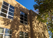 Thumbnail 20 of 22 - A building with windows and a tree in front.