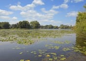 Thumbnail 12 of 13 - Lake at Beach South at the Lake, Robbinsdale, Minnesota