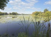 Thumbnail 13 of 13 - Lake View at Beach South at the Lake, Robbinsdale