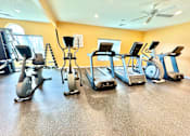 Thumbnail 22 of 41 - A gym with a variety of cardio equipment including treadmills, stationary bikes, and elliptical machines.