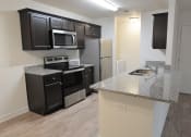Thumbnail 13 of 14 - Modern Kitchen at Shenandoah Properties in Lafayette, IN 47905