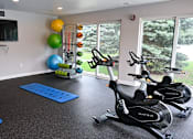 Thumbnail 14 of 26 - a home gym with a treadmill and exercise balls