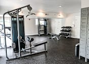 Thumbnail 19 of 21 - a home gym with weights and other exercise equipment