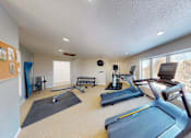 Thumbnail 27 of 28 - A spacious home gym with a treadmill, exercise bike, and other equipment.