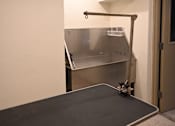 Thumbnail 45 of 49 - A table tennis table with a net and paddles on it.