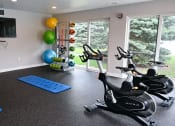 Thumbnail 28 of 28 - the gym at the at the boulevard apartments in