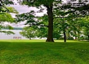 Thumbnail 32 of 50 - a park with trees and a bench overlooking a body of water