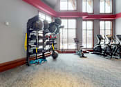 Thumbnail 58 of 64 - A gym room with a row of exercise balls and weight racks.