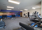 Thumbnail 53 of 53 - A gym with a blue wall and a row of treadmills.