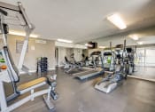 Thumbnail 17 of 47 - the gym at the preserve at polk apartments ga