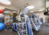 Thumbnail 83 of 124 - A gym with a treadmill, exercise balls and weights.