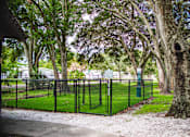 Thumbnail 16 of 25 - Dog Park at Fernwood Grove Apartments, Florida