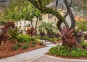 Thumbnail 45 of 46 - Community Walkway at The Flats at Seminole Heights, Tampa