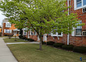 Thumbnail 4 of 35 - A tree with green leaves stands in front of a red brick building.
