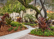 Thumbnail 33 of 42 - A garden with a white pathway and a variety of plants. at The Flats at Seminole Heights, Tampa, FL