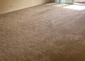 Thumbnail 85 of 111 - Classic  Home Living Room at Woodland Ridge Apartments in Woodridge, IL