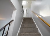 Thumbnail 35 of 103 - a stairway with carpet stairs with a railing and white walls at Willowbrooke Apartments, Brockport, New York