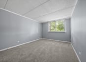 Thumbnail 44 of 111 - Renovated Bedroom decor at Woodland Ridge Apartments in Woodridge, IL