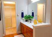 Thumbnail 45 of 49 - A bathroom with a sink, mirror, and a plant.