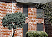 Thumbnail 17 of 18 - Beautiful Exteriors