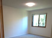 Thumbnail 42 of 49 - A room with a carpeted floor and a window.