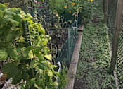 Thumbnail 21 of 25 - Community Garden