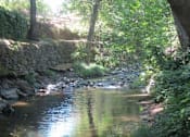 Thumbnail 7 of 13 - nature
