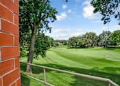 Thumbnail 25 of 30 - A view of a green lawn from a window.