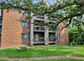 Thumbnail 45 of 67 - A tree in front of a brick building.