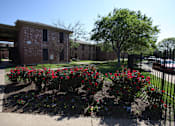 Thumbnail 4 of 18 - Flowers Beautiful Landscaping