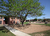 Thumbnail 9 of 18 - Trees