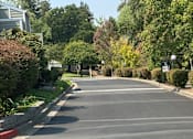 Thumbnail 3 of 13 - Beautiful Landscaping