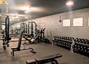 Thumbnail 12 of 17 - A gym with weights and exercise equipment.