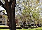 Thumbnail 1 of 21 - a row of houses with trees in front of them