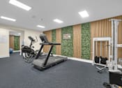 Thumbnail 8 of 20 - A gym with treadmills, weights, and exercise balls.