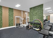 Thumbnail 9 of 20 - A gym with a green wall and various exercise equipment.