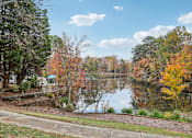 Thumbnail 18 of 32 - Lake surrounded by trees at Radbourne Lake Apartments, Charlotte
