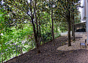 Thumbnail 62 of 80 - A tree-lined path with a bench on the right side.