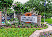 Thumbnail 4 of 14 - The Villages of Briar Forest Apartment Homes sign.