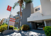 Thumbnail 15 of 22 - an apartment building with a palm tree in front of it