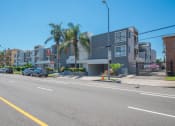 Thumbnail 18 of 22 - a row of apartment buildings with palm trees on a city street