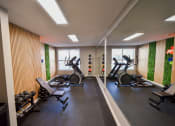 Thumbnail 8 of 22 - a gym with cardio machines and weights on the floor