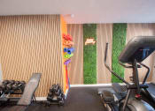 Thumbnail 9 of 22 - a gym with exercise equipment and grass in the wall