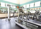 Thumbnail 11 of 14 - A gym with treadmills, elliptical machines and other exercise equipment.