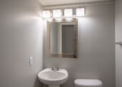 Thumbnail 31 of 32 - a bathroom with a sink and a mirror and a toilet