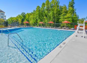 Thumbnail 39 of 43 - a swimming pool with chairs and umbrellas in front of trees