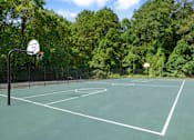 Thumbnail 15 of 18 - A basketball court surrounded by trees.