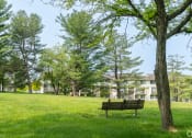 Thumbnail 9 of 29 - a park bench sitting in the grass next to a tree