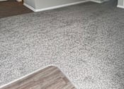 Thumbnail 41 of 42 - A room with grey carpet and a wooden floor.
