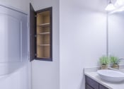 Thumbnail 35 of 37 - a bathroom with a sink and a shower and a mirror at Aventura at Towne Centre, Ellisville